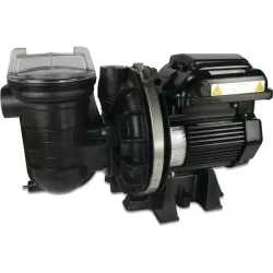 Sta-Rite Pompa basenowa 1 1/2" GW 230VAC czarny typ P-STR-VS2m 1,5KM 7036455